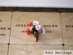 Joseph J Mauro