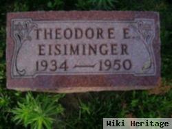 Theodore E Eisiminger