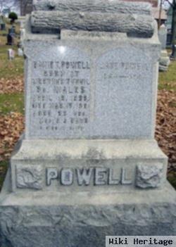 David Thomas Powell