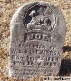 Joe Marsh