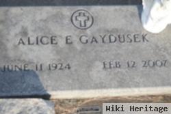 Alice E. Gaydusek