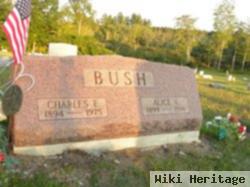 Charles E Bush