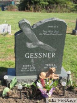 Terry L. Gessner