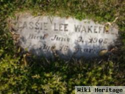 Cassie Lee Wakefield