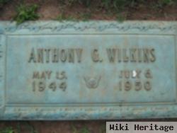 Anthony G. Wilkins