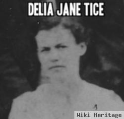 Della Ann Tice Hansbrough