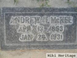 Andrew N Mckee