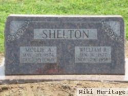 William Riley Shelton