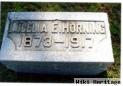 Lucelia Elva Bidwell Horning