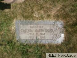 Cynthia Marie Dorr