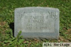 Elizabeth J Remaley