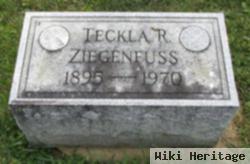 Teckla R Schuler Ziegenfuss