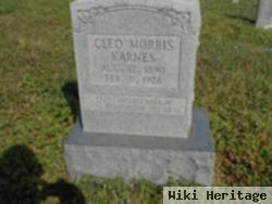 Cleo Morris Karnes