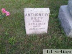 Anthony W. Riley