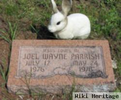 Joel Wayne Parrish