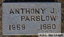 Anthony J Parslow