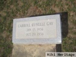 Carroll Runelle Gay