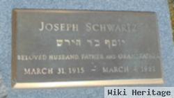 Joseph Schwartz