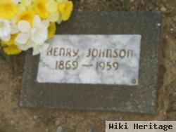 Henry Andrew Johnson