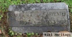 Mary Padgett Carpenter