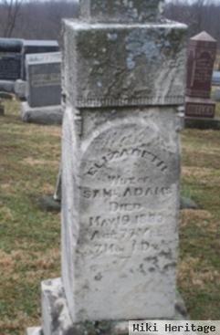 Elizabeth "betsy" Johnson Adams