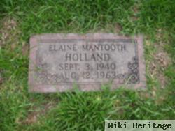 Jeanice Elaine Mantooth Holland