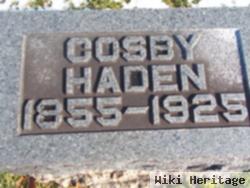 Andrew Cosby Haden