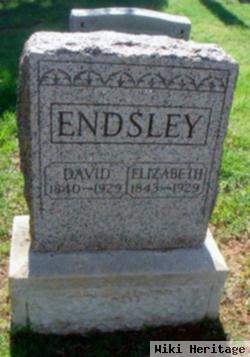 David A Endsley