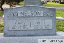 J. Amos Nelson