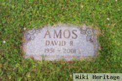 David R Amos