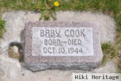 Baby Cook