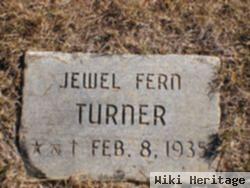 Jewel Fern Turner