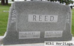 Albert Reed