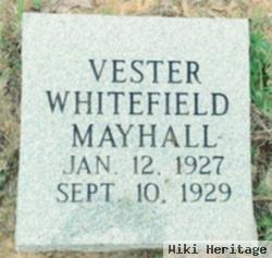 Vester Whitefield Mayhall