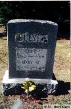 Mary M Belyea