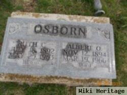 Albert Olen Osborn