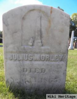 Julius Morley