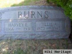 Harvey E. Burns