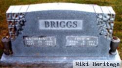 Fred W. Briggs