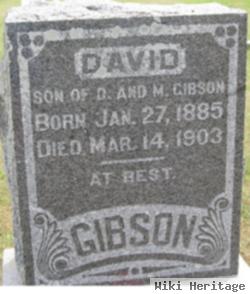 David Gibson