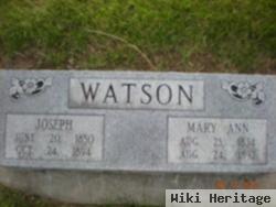 Mary Ann Watson