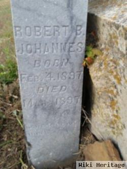 Robert B Johannes