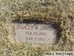 Charles W Johnson