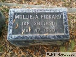 Mollie A. Pickard