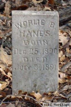 Worlie B. Hanes