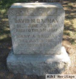 David M. Bauman