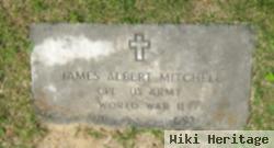 James Albert Mitchell