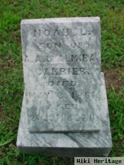 Noah L. Carrier