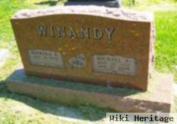 Michael A Winandy