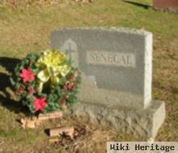 Robert E. Senecal